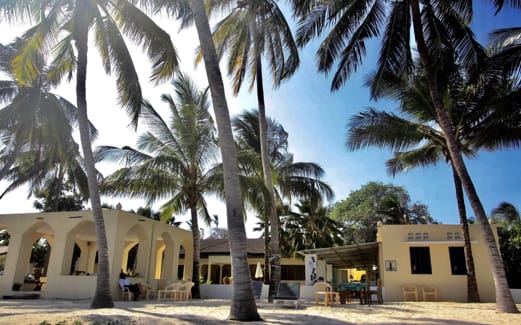 The beach house between the palms