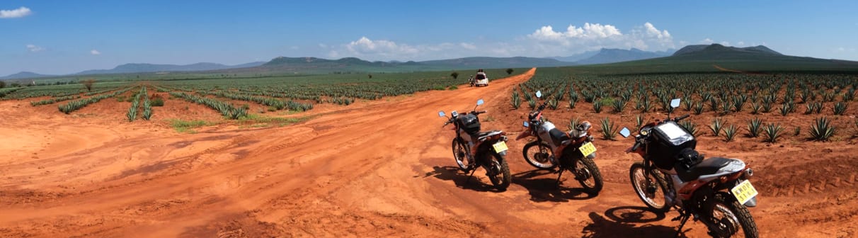 Motoren op een rode dirt road door een sisalplantage in Kenia